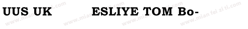 UUS UK楷体 ESLIYE TOM Bo字体转换